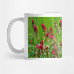 Raspberry Colored Flowers Mug